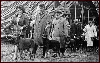 Moscow, 1962. The exhibition DOSAAF. First in the ring well-known favorite of those years Zitta (vl.Zhuravlev). Demonstrates its famous breeder G.Katurkina