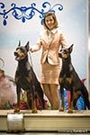 ЕРМОЛОВ И ЕВГЕНИЯ ГРАНДЭ ИЗ ЗООСФЕРЫ 