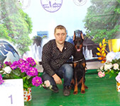 ЧАЙМ ОФ БЕЛЛЗ ИЗ ЗООСФЕРЫ