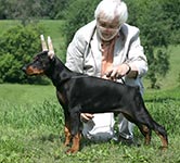 ФАБЕРЖЕ ОФ ДЭВИЛ ИНСАЙД 
