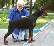 ФАБЕРЖЕ ОФ ДЭВИЛ ИНСАЙД 
