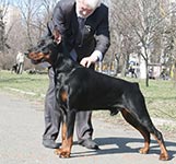 ФАБЕРЖЕ ОФ ДЭВИЛ ИНСАЙД 