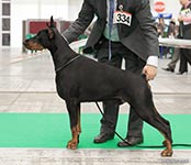 ФАБЕРЖЕ ОФ ДЭВИЛ ИНСАЙД 
