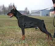 ФАБЕРЖЕ ОФ ДЭВИЛ ИНСАЙД 