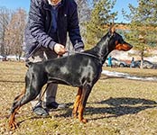 ШЕРОН СТОУН ИЗ ЗООСФЕРЫ