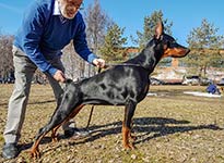 ШЕРОН СТОУН ИЗ ЗООСФЕРЫ
