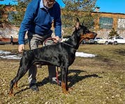 ТОМ КРУЗ ИЗ ЗООСФЕРЫ