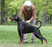 РЕНСДОРФФ ЛИБЕРТИ