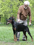 ЧАРЛЬСТОН ИЗ ЗООСФЕРЫ