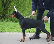 БРИЖИТ БАРДО ИЗ ЗООСФЕРЫ