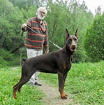 ЦЕЦИЛИЯ ФАБОВНА ИЗ ЗООСФЕРЫ