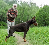 ЦЕЦИЛИЯ ФАБОВНА ИЗ ЗООСФЕРЫ