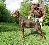 ЦЕЦИЛИЯ ФАБОВНА ИЗ ЗООСФЕРЫ