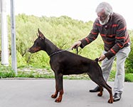 ЦЕЦИЛИЯ ФАБОВНА ИЗ ЗООСФЕРЫ