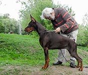 ЦЕЦИЛИЯ ФАБОВНА ИЗ ЗООСФЕРЫ