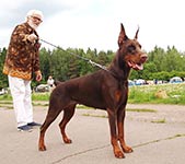 ЦЕЦИЛИЯ ФАБОВНА ИЗ ЗООСФЕРЫ