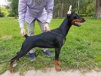 ЯНЕТ ИЗ ЗООСФЕРЫ