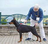 АВА ГАРДНЕР ИЗ ЗООСФЕРЫ