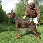 ЦЕЦИЛИЯ ФАБОВНА ИЗ ЗООСФЕРЫ