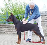 ЧАРЛЬСТОН ИЗ ЗООСФЕРЫ
