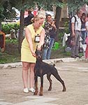 Всероссийская САС-выставка